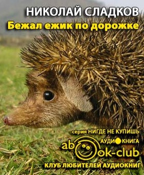 Сладков Николай - Бежал ежик по дорожке HubKnigi — Аудиокниги Онлайн | Классика, Детективы, Поэзия и Более