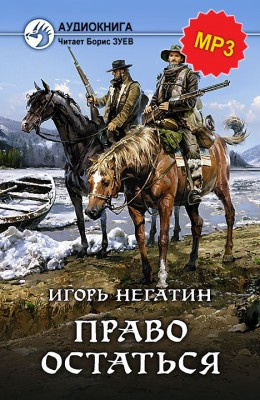 Негатин Игорь - Право остаться HubKnigi — Аудиокниги Онлайн | Классика, Детективы, Поэзия и Более