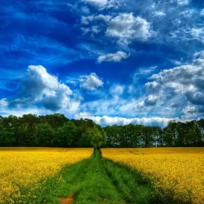 Nikosho - Любимый уголок природы. Сеанс релаксации HubKnigi — Аудиокниги Онлайн | Классика, Детективы, Поэзия и Более