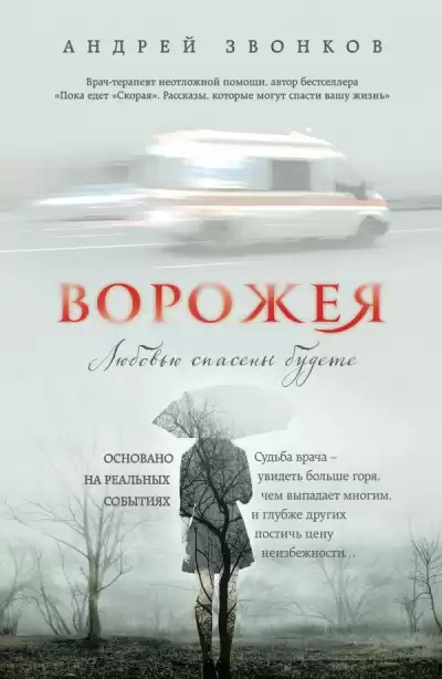 Звонков Андрей - Ворожея. Любовью спасены будете HubKnigi — Аудиокниги Онлайн | Классика, Детективы, Поэзия и Более