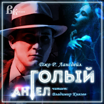 Лансдейл Джо - Голый ангел HubKnigi — Аудиокниги Онлайн | Классика, Детективы, Поэзия и Более