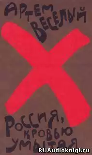 Веселый Артем - Россия, кровью умытая HubKnigi — Аудиокниги Онлайн | Классика, Детективы, Поэзия и Более