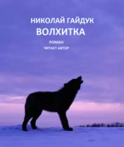 Гайдук Николай - Волхитка HubKnigi — Аудиокниги Онлайн | Классика, Детективы, Поэзия и Более