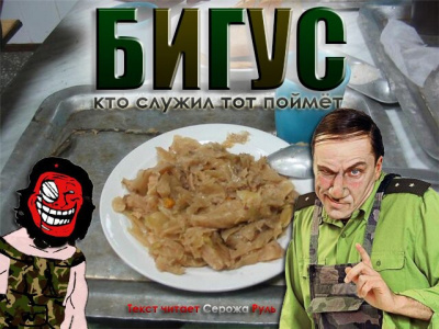 Бигус. Кто служил, тот поймет HubKnigi — Аудиокниги Онлайн | Классика, Детективы, Поэзия и Более