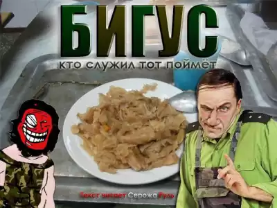Бигус. Кто служил, тот поймет HubKnigi — Аудиокниги Онлайн | Классика, Детективы, Поэзия и Более
