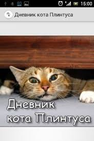 skotina - Записки кота Плинтуса HubKnigi — Аудиокниги Онлайн | Классика, Детективы, Поэзия и Более