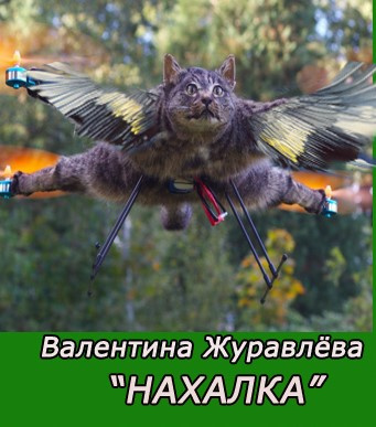 Журавлева Валентина - Нахалка HubKnigi — Аудиокниги Онлайн | Классика, Детективы, Поэзия и Более