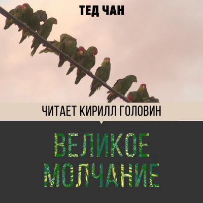Чан Тед - Великое молчание HubKnigi — Аудиокниги Онлайн | Классика, Детективы, Поэзия и Более