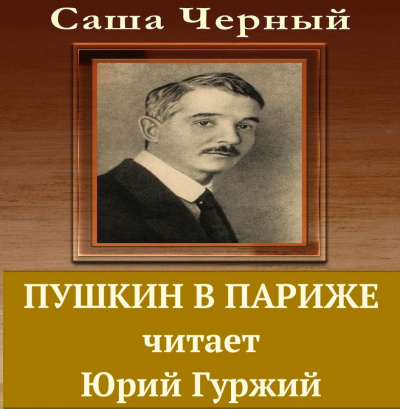 Черный Саша - Пушкин в Париже HubKnigi — Аудиокниги Онлайн | Классика, Детективы, Поэзия и Более