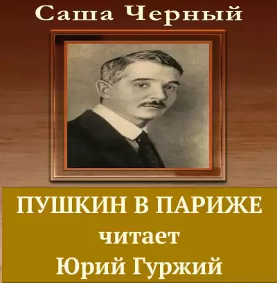 Черный Саша - Пушкин в Париже HubKnigi — Аудиокниги Онлайн | Классика, Детективы, Поэзия и Более