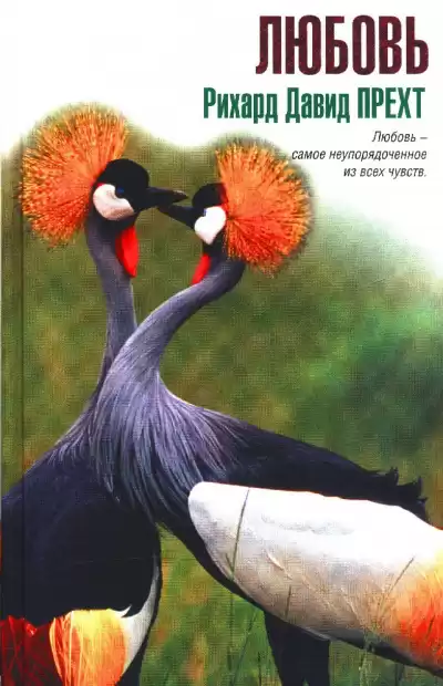 Прехт Рихард Давид - Любовь HubKnigi — Аудиокниги Онлайн | Классика, Детективы, Поэзия и Более