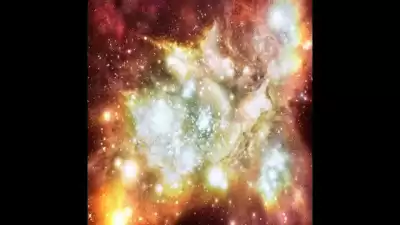 Леви Владимир - Мы в мире не одни HubKnigi — Аудиокниги Онлайн | Классика, Детективы, Поэзия и Более