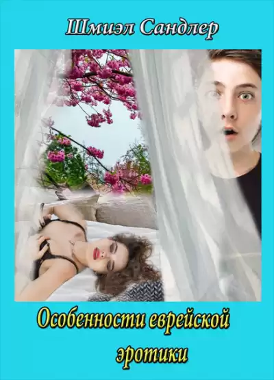 Сандлер Шмиэл - Особенности еврейской эротики HubKnigi — Аудиокниги Онлайн | Классика, Детективы, Поэзия и Более