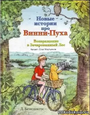Бенедиктус Дэвид - Новые истории про Винни-Пуха. Возвращение в Зачарованный Лес HubKnigi — Аудиокниги Онлайн | Классика, Детективы, Поэзия и Более