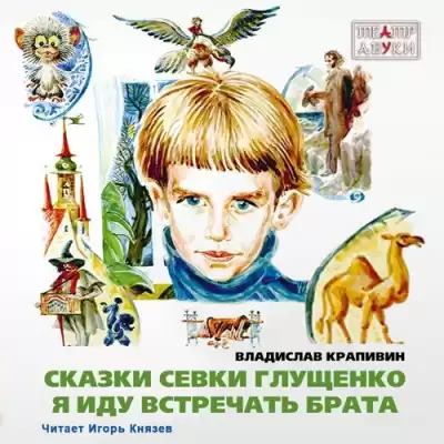 Крапивин Владислав - Я иду встречать брата HubKnigi — Аудиокниги Онлайн | Классика, Детективы, Поэзия и Более