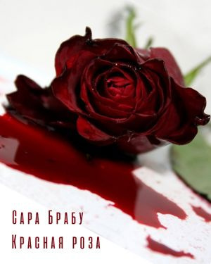 Брабу Сара - Красная роза HubKnigi — Аудиокниги Онлайн | Классика, Детективы, Поэзия и Более