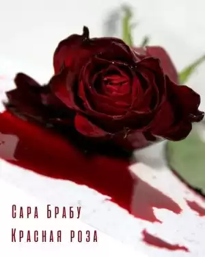 Брабу Сара - Красная роза HubKnigi — Аудиокниги Онлайн | Классика, Детективы, Поэзия и Более