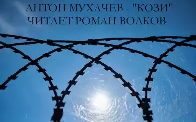 Мухачев Антон - Кози HubKnigi — Аудиокниги Онлайн | Классика, Детективы, Поэзия и Более