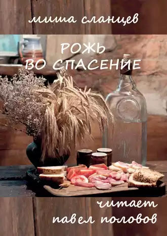 Сланцев Миша - Рожь во спасение HubKnigi — Аудиокниги Онлайн | Классика, Детективы, Поэзия и Более