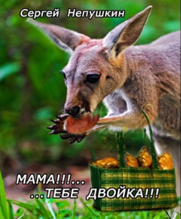 Непушкин Сергей - Мама!!! ....тебе двойка!!! HubKnigi — Аудиокниги Онлайн | Классика, Детективы, Поэзия и Более