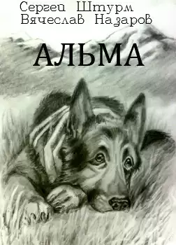 Штурм Сергей, Назаров Вячеслав - Альма HubKnigi — Аудиокниги Онлайн | Классика, Детективы, Поэзия и Более