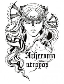 Дербенева Анна - В поиске Холи HubKnigi — Аудиокниги Онлайн | Классика, Детективы, Поэзия и Более