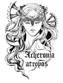 Дербенева Анна - В поиске Холи HubKnigi — Аудиокниги Онлайн | Классика, Детективы, Поэзия и Более