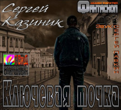 Казиник Сергей - Ключевая точка HubKnigi — Аудиокниги Онлайн | Классика, Детективы, Поэзия и Более