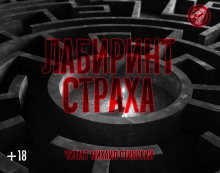 Лабиринт страха HubKnigi — Аудиокниги Онлайн | Классика, Детективы, Поэзия и Более