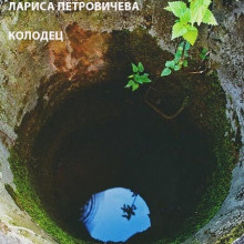 Петровичева Лариса - Колодец HubKnigi — Аудиокниги Онлайн | Классика, Детективы, Поэзия и Более