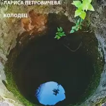 Петровичева Лариса - Колодец HubKnigi — Аудиокниги Онлайн | Классика, Детективы, Поэзия и Более
