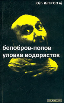 Белобров Владимир, Попов Олег - Уловка Водорастов HubKnigi — Аудиокниги Онлайн | Классика, Детективы, Поэзия и Более