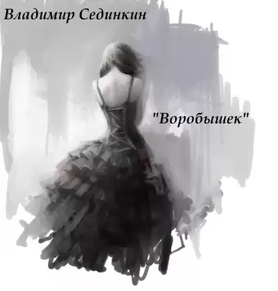 Сединкин Владимир - Воробышек HubKnigi — Аудиокниги Онлайн | Классика, Детективы, Поэзия и Более