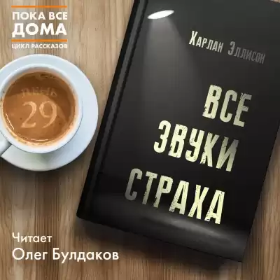 Эллисон Харлан - Все звуки страха HubKnigi — Аудиокниги Онлайн | Классика, Детективы, Поэзия и Более