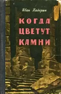 Падерин Иван - Когда цветут камни HubKnigi — Аудиокниги Онлайн | Классика, Детективы, Поэзия и Более