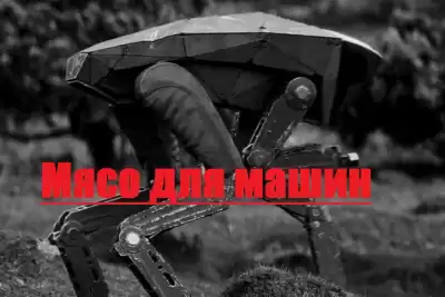 Доронин Алексей - Мясо для машин HubKnigi — Аудиокниги Онлайн | Классика, Детективы, Поэзия и Более