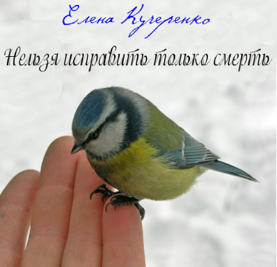 Кучеренко Елена - Нельзя исправить только смерть HubKnigi — Аудиокниги Онлайн | Классика, Детективы, Поэзия и Более