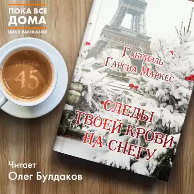 Гарсиа Маркес Габриэль - Следы твоей крови на снегу HubKnigi — Аудиокниги Онлайн | Классика, Детективы, Поэзия и Более