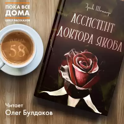 Шеллер Эрик - Ассистент доктора Якоба HubKnigi — Аудиокниги Онлайн | Классика, Детективы, Поэзия и Более