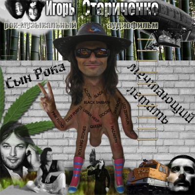 Стариченко Игорь - Сын Рока, мечтающий летать HubKnigi — Аудиокниги Онлайн | Классика, Детективы, Поэзия и Более