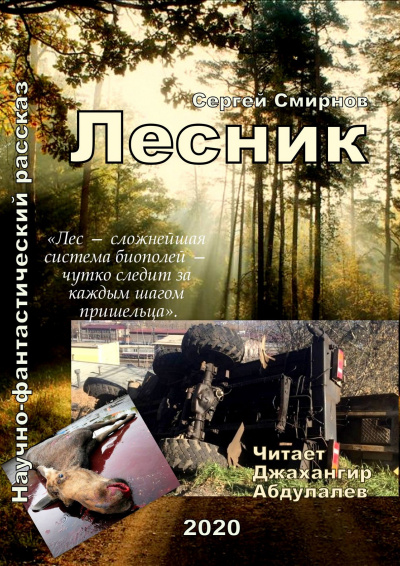 Смирнов Сергей - Лесник HubKnigi — Аудиокниги Онлайн | Классика, Детективы, Поэзия и Более