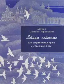 Симеон Афонский - Птицы небесные или странствия души в объятиях Бога HubKnigi — Аудиокниги Онлайн | Классика, Детективы, Поэзия и Более