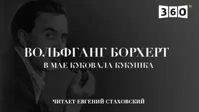 Борхерт Вольфганг - В мае куковала кукушка HubKnigi — Аудиокниги Онлайн | Классика, Детективы, Поэзия и Более