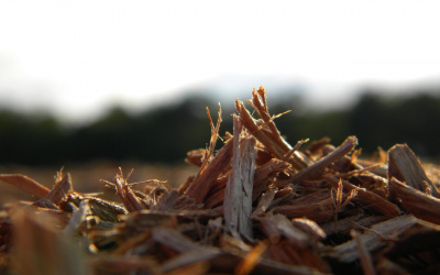 Андерсен Ганс - И в щепке порой скрывается счастье... HubKnigi — Аудиокниги Онлайн | Классика, Детективы, Поэзия и Более