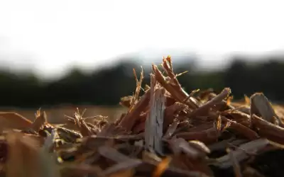 Андерсен Ганс - И в щепке порой скрывается счастье... HubKnigi — Аудиокниги Онлайн | Классика, Детективы, Поэзия и Более