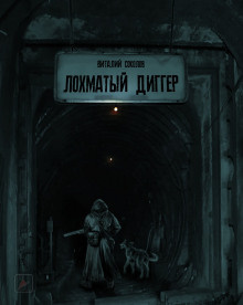 Соколов Виталий - Лохматый диггер HubKnigi — Аудиокниги Онлайн | Классика, Детективы, Поэзия и Более