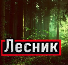 Устинов Александр - Лесник HubKnigi — Аудиокниги Онлайн | Классика, Детективы, Поэзия и Более