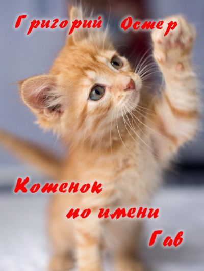 Остер Григорий - Котенок по имени Гав HubKnigi — Аудиокниги Онлайн | Классика, Детективы, Поэзия и Более