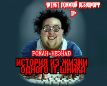 Незнаю Роман - История из жизни одного айтишника HubKnigi — Аудиокниги Онлайн | Классика, Детективы, Поэзия и Более