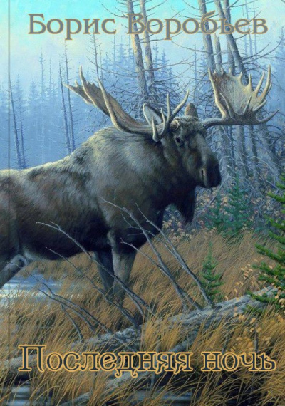 Воробьев Борис - Последняя ночь HubKnigi — Аудиокниги Онлайн | Классика, Детективы, Поэзия и Более